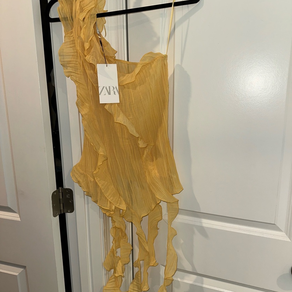 Zara Frilly Top NWT